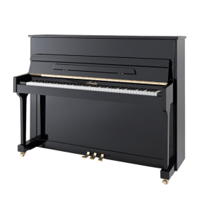 Irmler P 118 Noir Neuf LOA