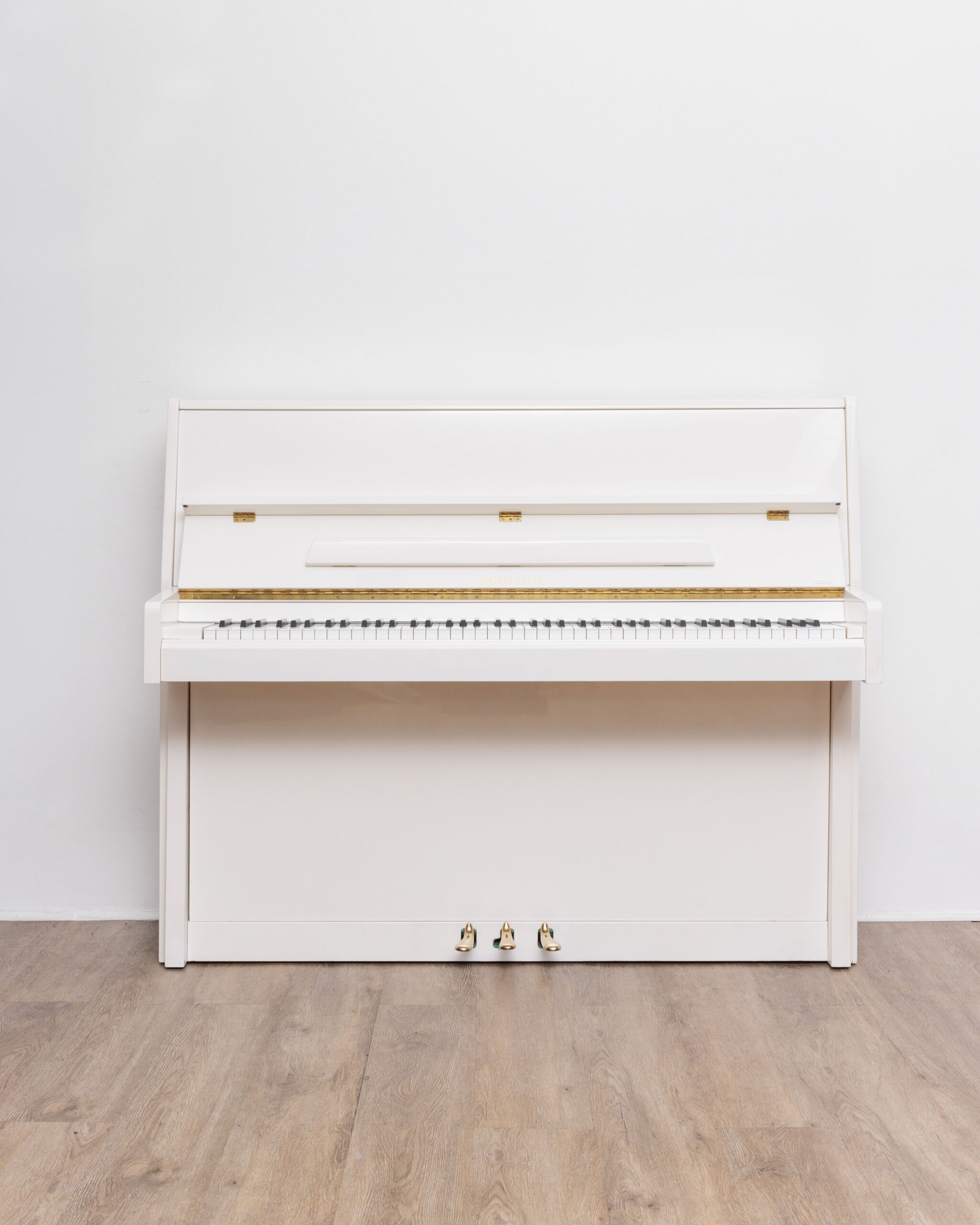 305_1 Schlogl 118 Moderna