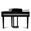 Kawai DG30