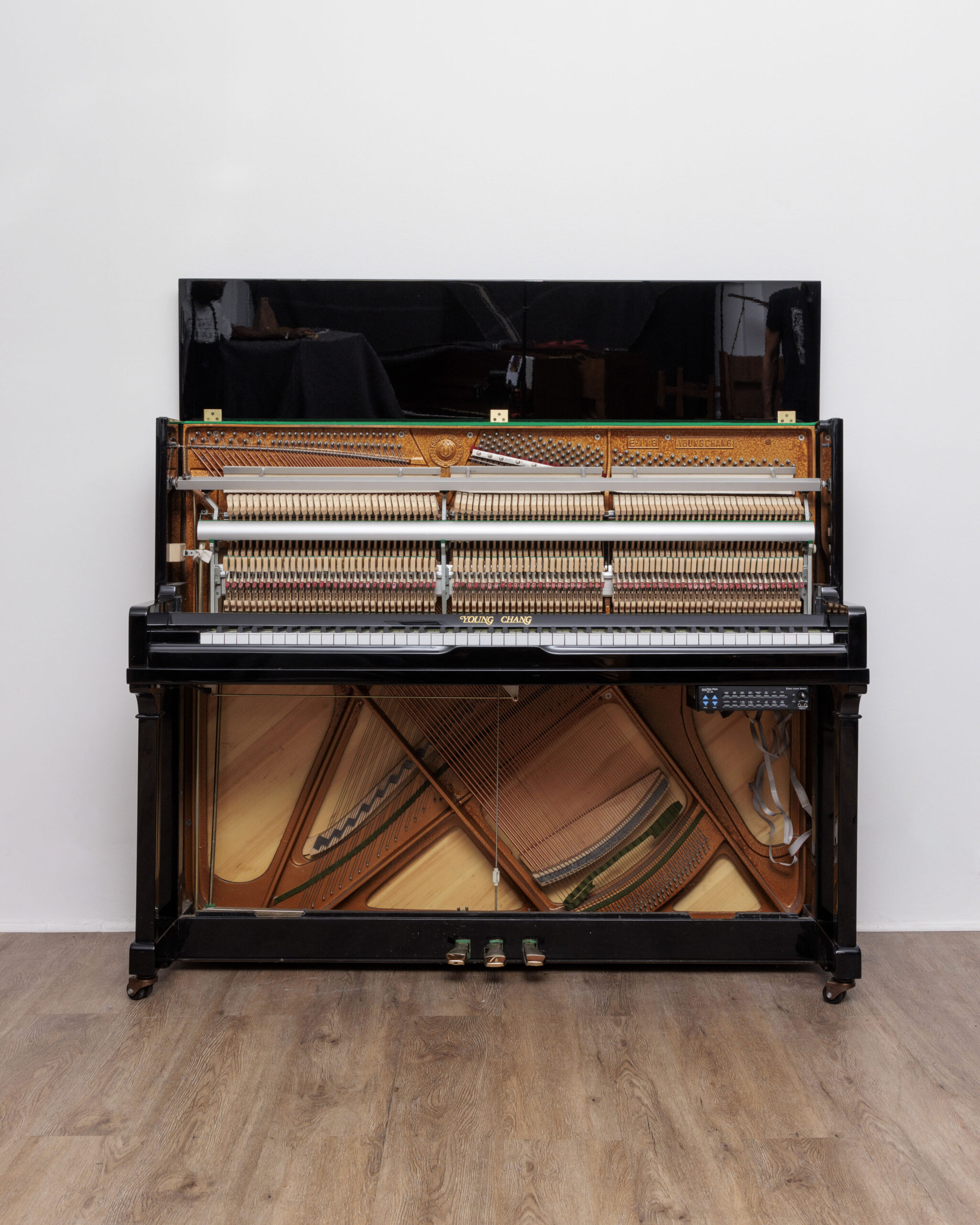 Young Chang 118 C silence