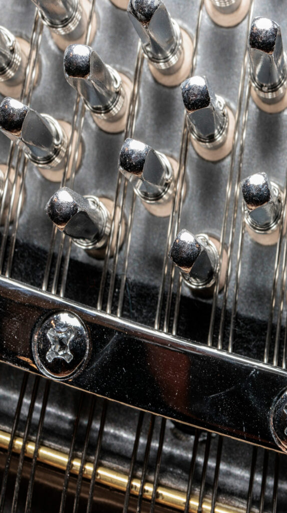 Détail des chevilles et cordes de piano
