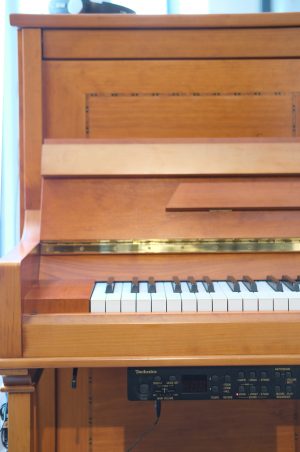 Pleyel P 124 Silence