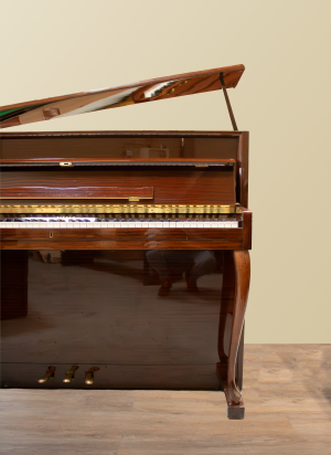 Rippen Concerto Chippendale