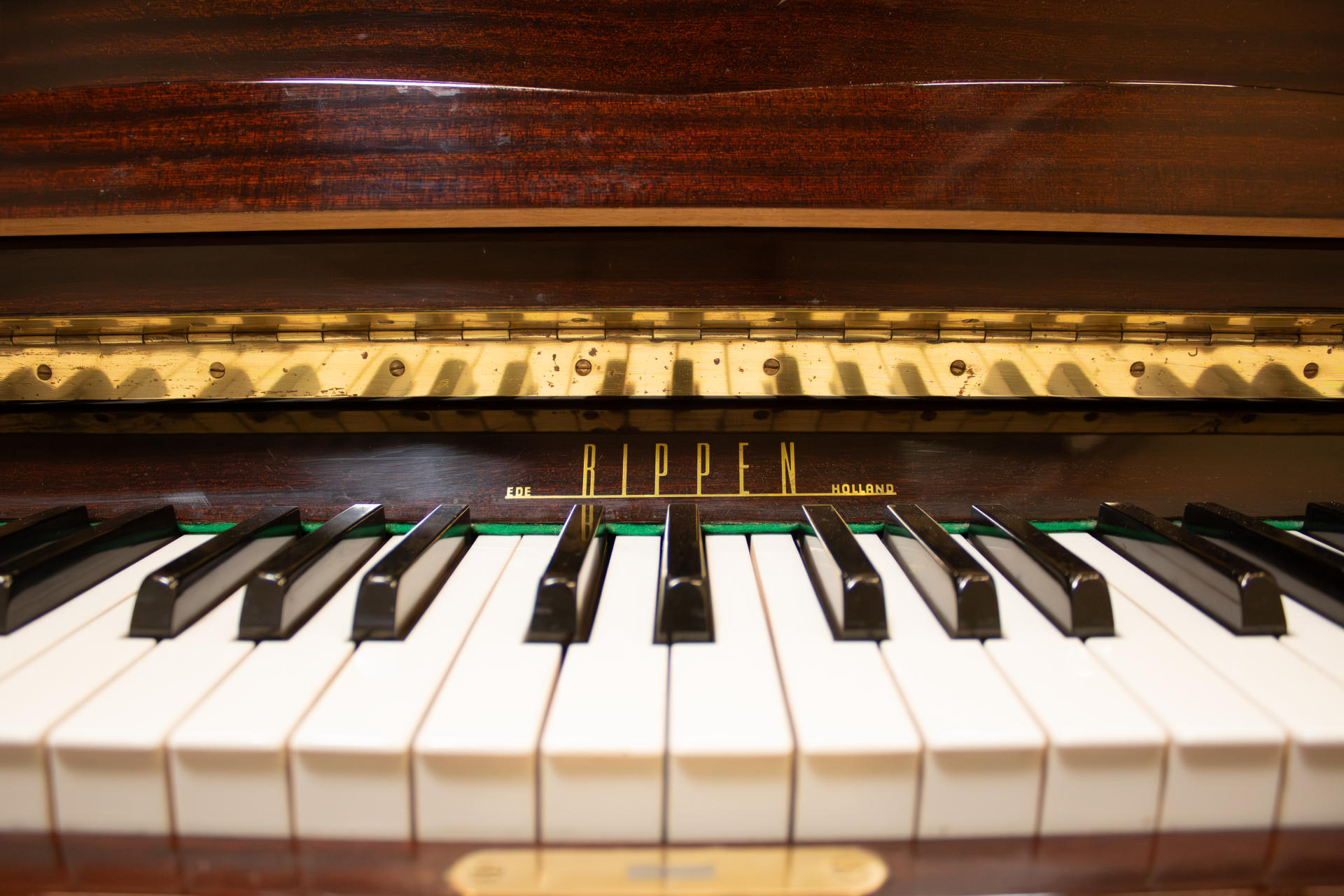 Rippen Concerto Chippendale