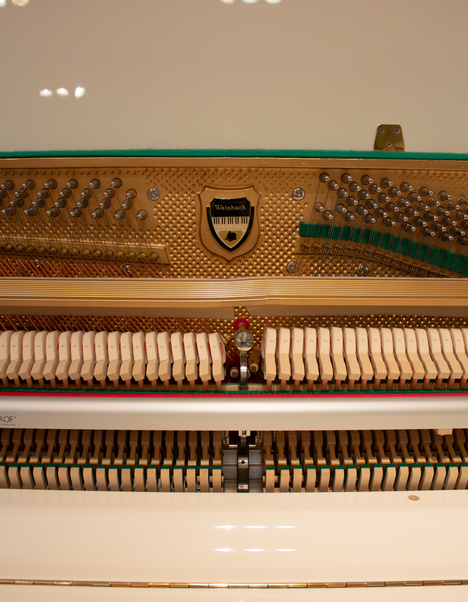 Weinbach 118 P1 Renner