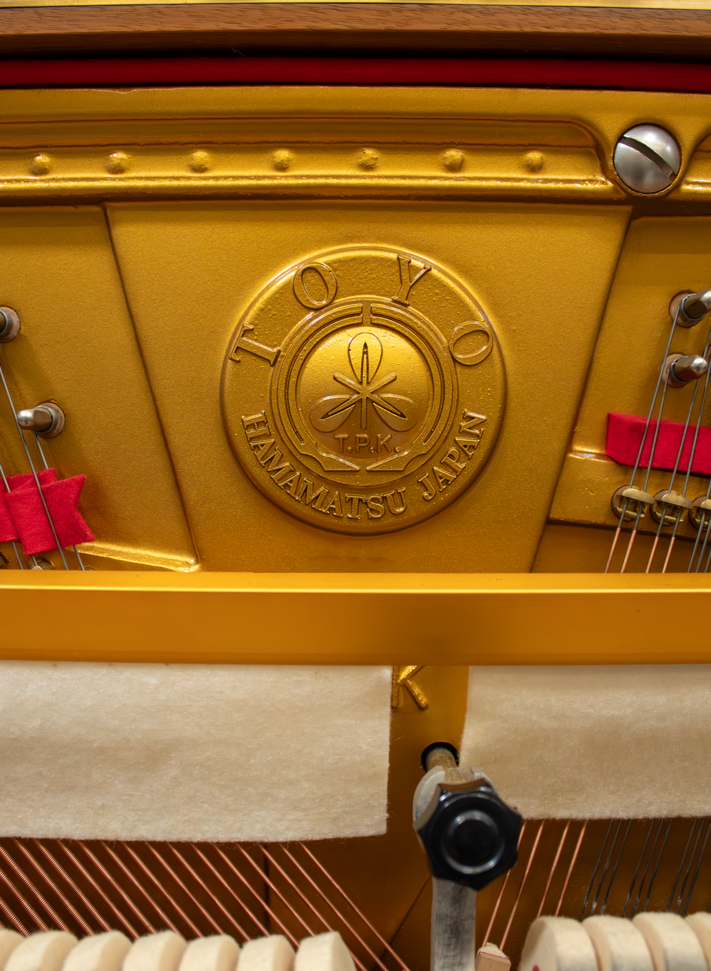 toyo-détail.DP Toyo A370 Renner