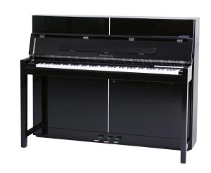 Samick JS 115 EB Cosmos