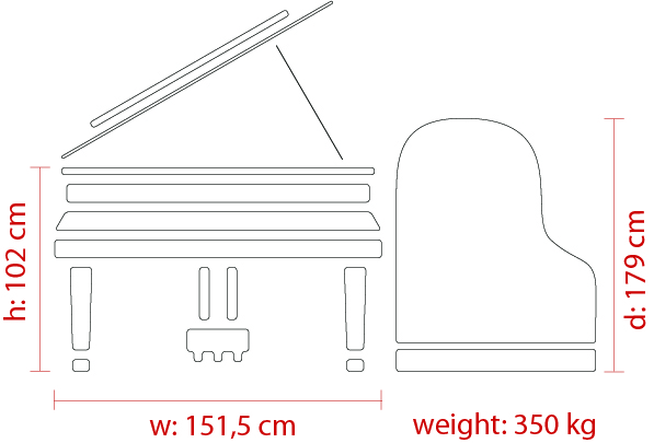 Feurich 179 Dynamic II