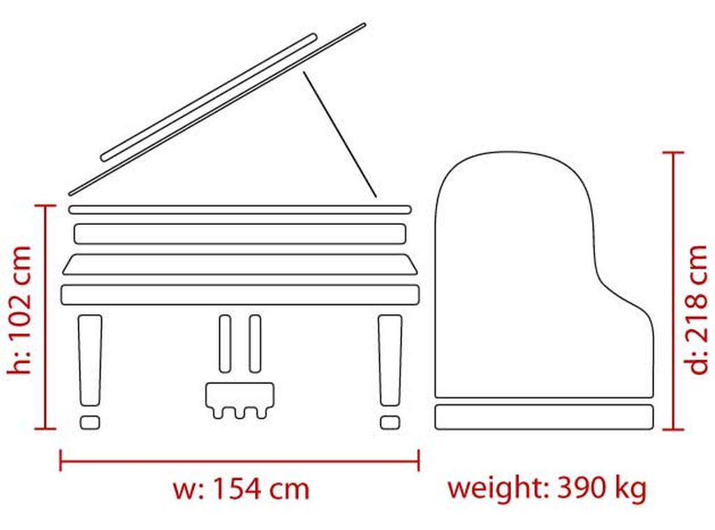 Feurich 218 Concert I