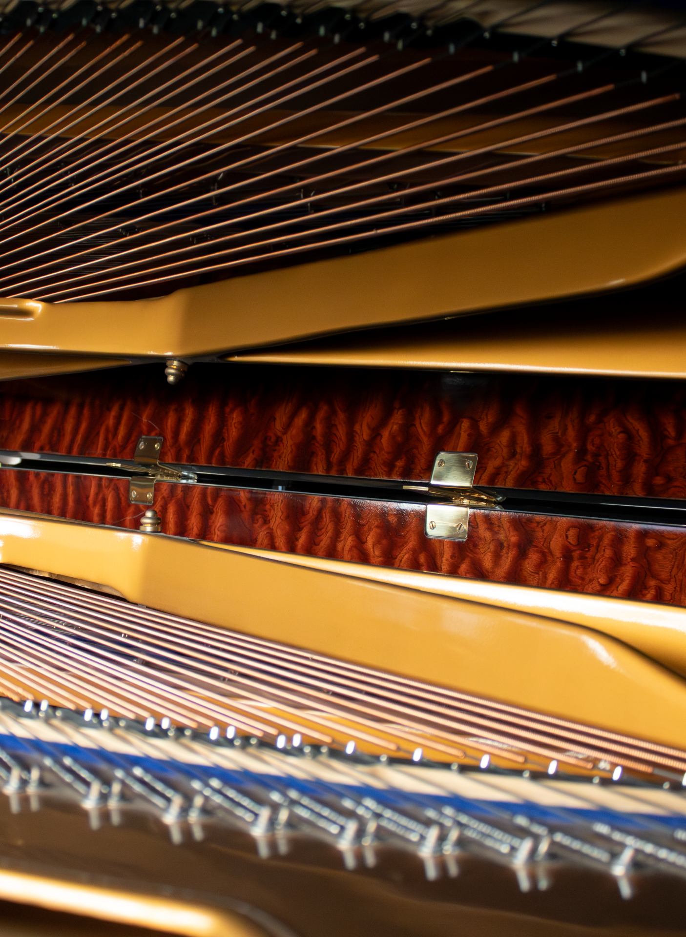 Blüthner Concert 1 Expo