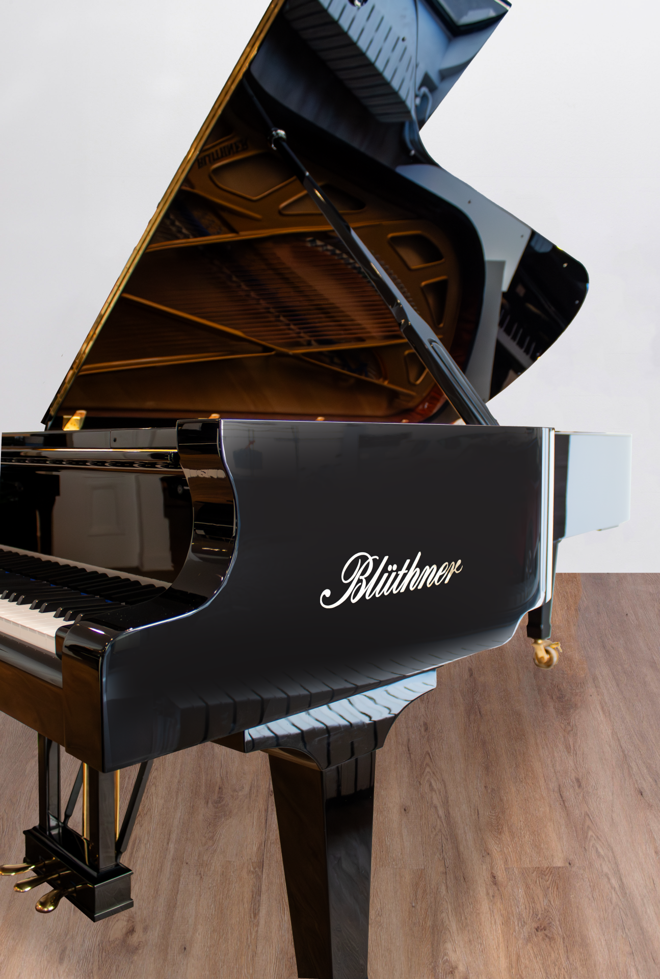 Blüthner Concert 1 Expo