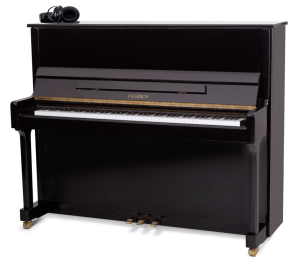 Feurich 122 Noir Silence