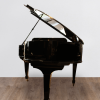 Steinway & Sons 0