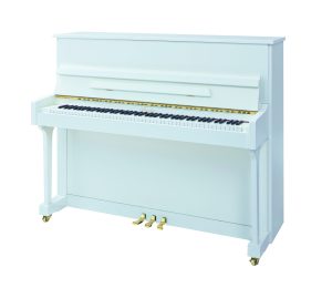 Irmler P 118 Blanc Neuf LOA