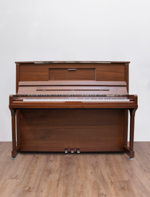 Feurich 123 Vienna Expo