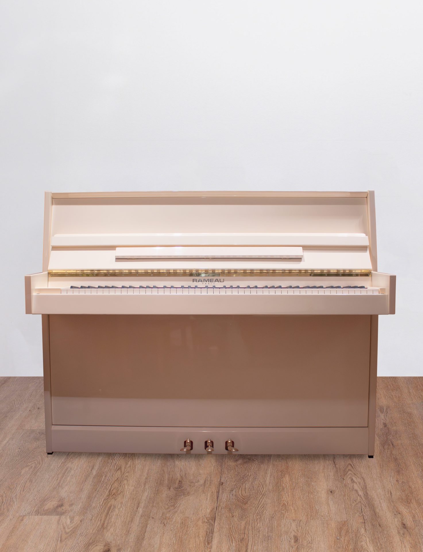 Rameau Beaucaire Renner SP