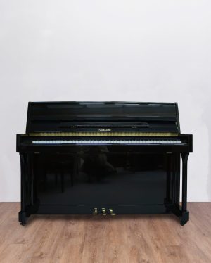 Ritmuller UP 110 R2 Expo