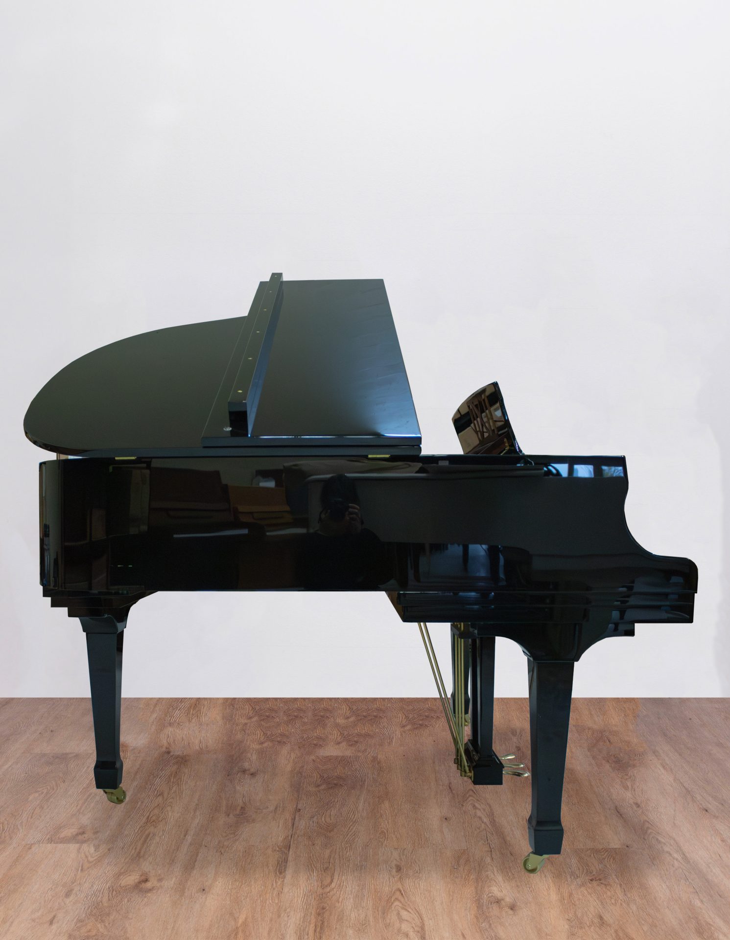 Ritmuller 160 RS EXPO