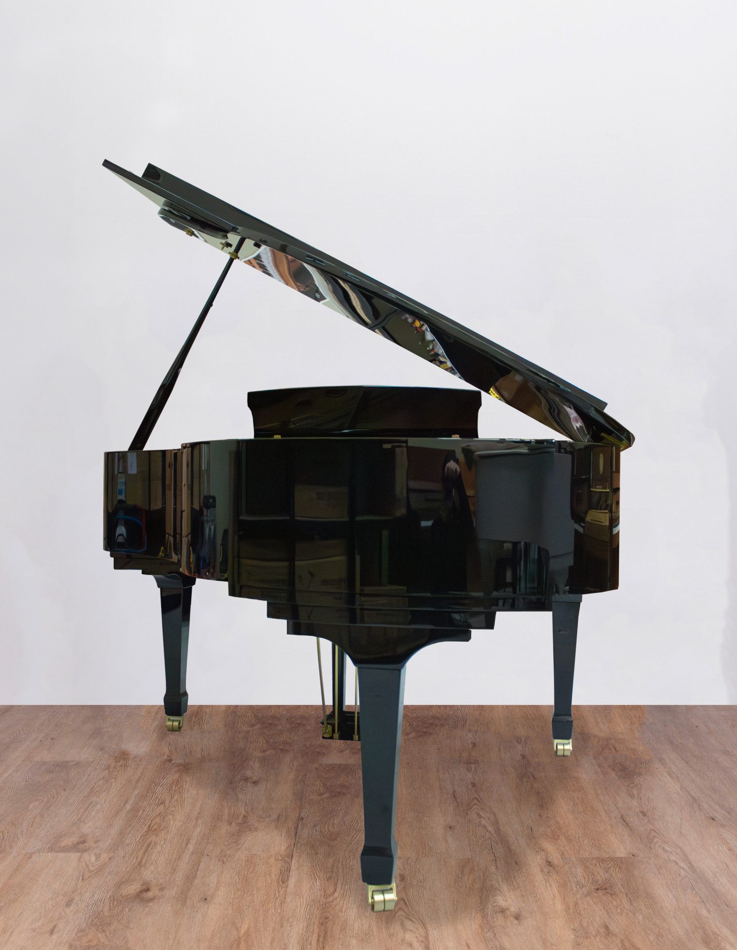 Ritmuller 160 RS EXPO