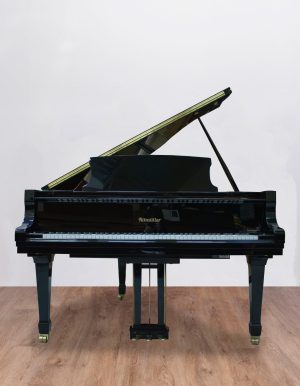 Ritmuller 160 RS EXPO