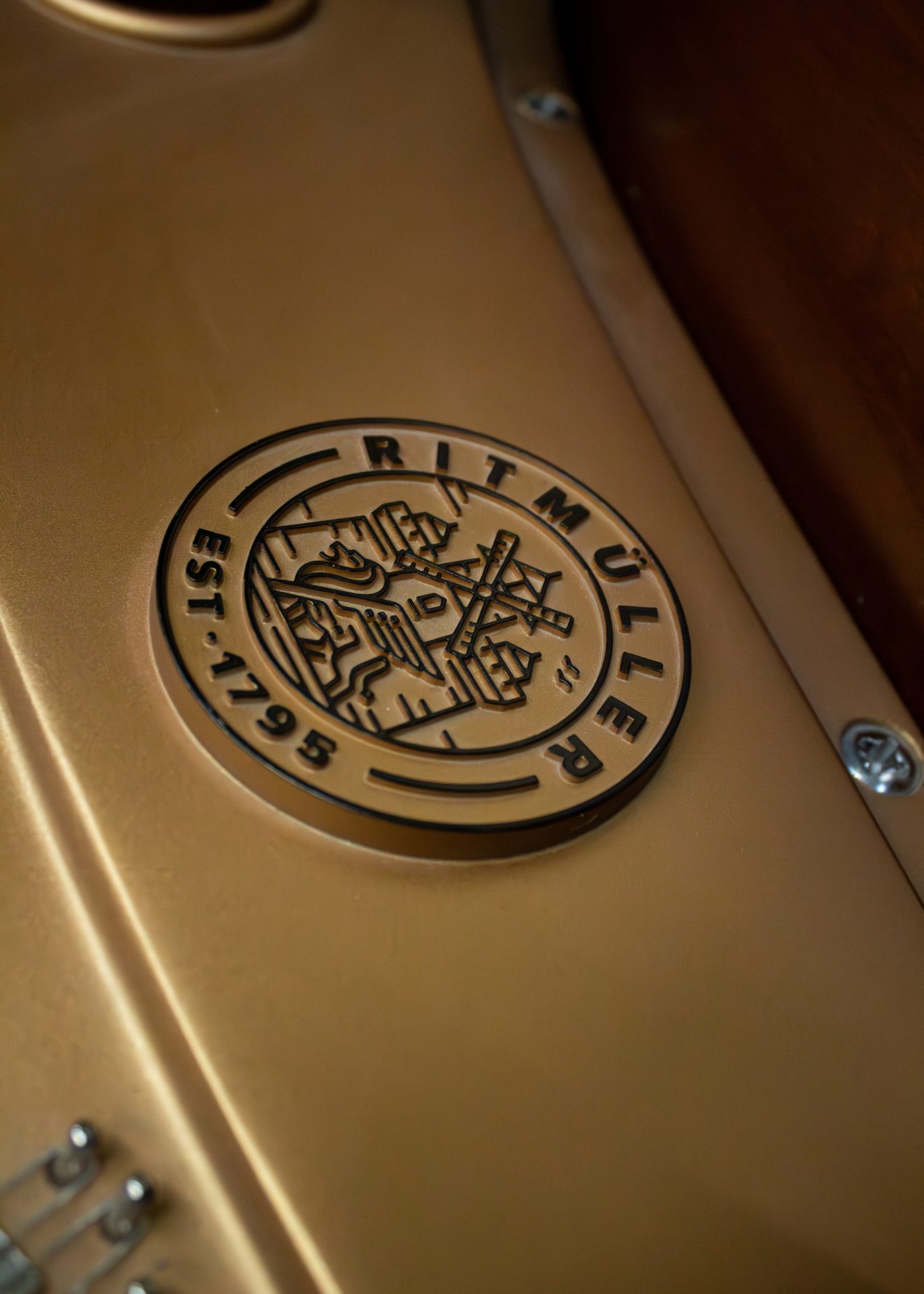 Ritmuller 160 RS EXPO