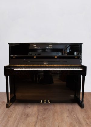 Ibach 120 Série Spéciale