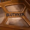 piano bluthner model 10 détail du cadre avec logo intérieur